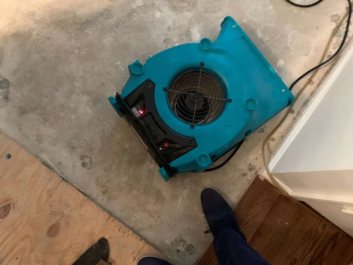 Air mover drying subfloor during Commercial Water Damage Restoration in Brenham